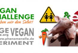 SHOE Lesben Vegan Challenge